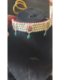 Galsari with Peacock