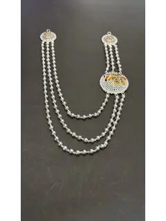 WhatsApp Image 2025-06-10 at 11.32.37 AM.jpeg